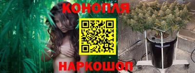 ешки Новодвинск