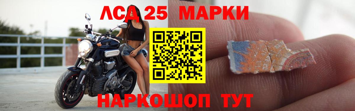 Бошки Шишки Тавда