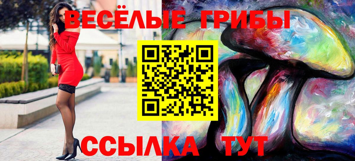 Тавда  Псилоцибиновые грибы GOLDEN TEACHER  Псилоцибиновые грибы Magic Shrooms  Вход с VPN 